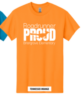 2024 Spirit T-Shirt (Orange)